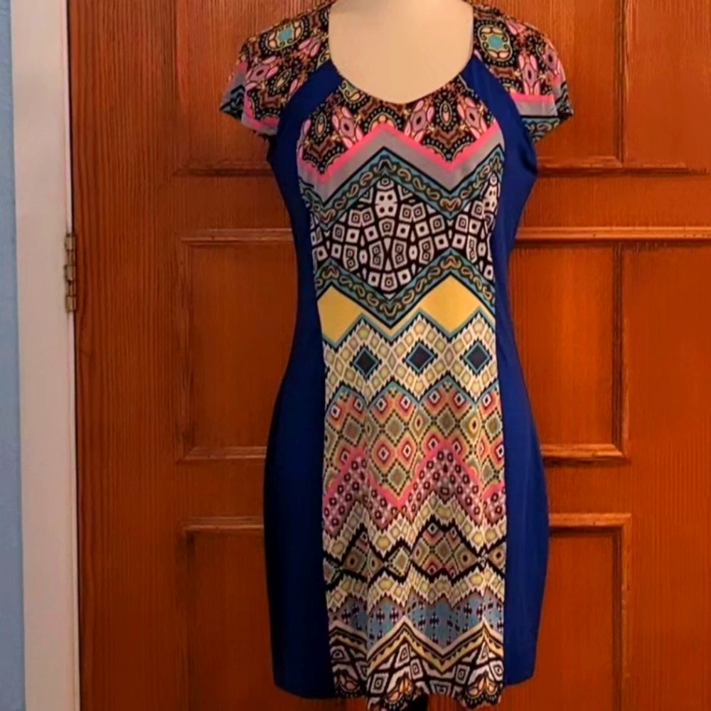 NWT WOMEN'S M SHANA K DRESS